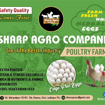 SHARP AGRO COMPANIES - Nourishing Health: The Herbal Eggs Revolution in Indian Kitchens in Khanna