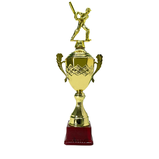 VIJAY TROPHIES - The Trophy That Inspires: Celebrating Cricket's Unsung Heroes in Ahmedabad