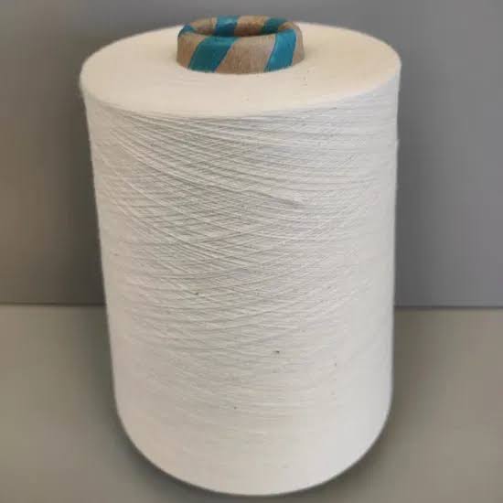 BHAVISHYA INDUSTRIES - How White Cotton Yarn Transforms the Lives of Indian Textiles Entrepreneurs in PANIPAT
