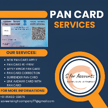 SAVEEN SINGH AND COMPANY - Simplifying PAN Card Corrections: Ankit's Journey to Financial Clarity in Ludhiana