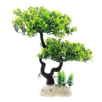 KTS AQUARIUM AND EXOTIC PETS - Transform Your Aquarium into a Vibrant Oasis with Jainsons Pet Products in Salem