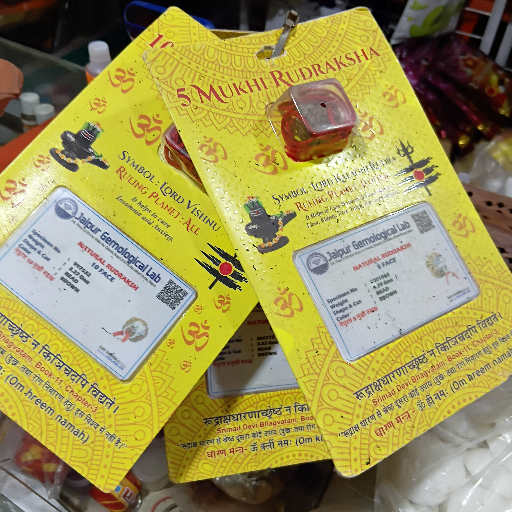 Discover the Power of Certified Rudraksh: Transforming Lives with Ancient Wisdom