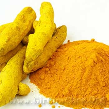 VIJAYA RICE MILL - The Golden Spice: Transforming Kitchens and Lives with Turmeric Powder in NELLORE