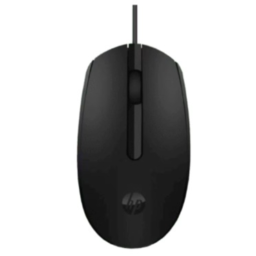 SWASTIK INFOTECH - Meet Raj: How the HP M10 USB Mouse Transformed His Work Life in Dhanbad