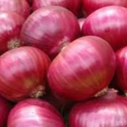 Embracing Freshness: How Onions Transform Lives and Kitchens