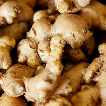 N BOX - Empowering Small Businesses: How Ginger Helps Indian Entrepreneurs Thrive in Bengaluru