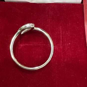 Embracing Elegance: How a Silver Ring Transformed Sunita's Life