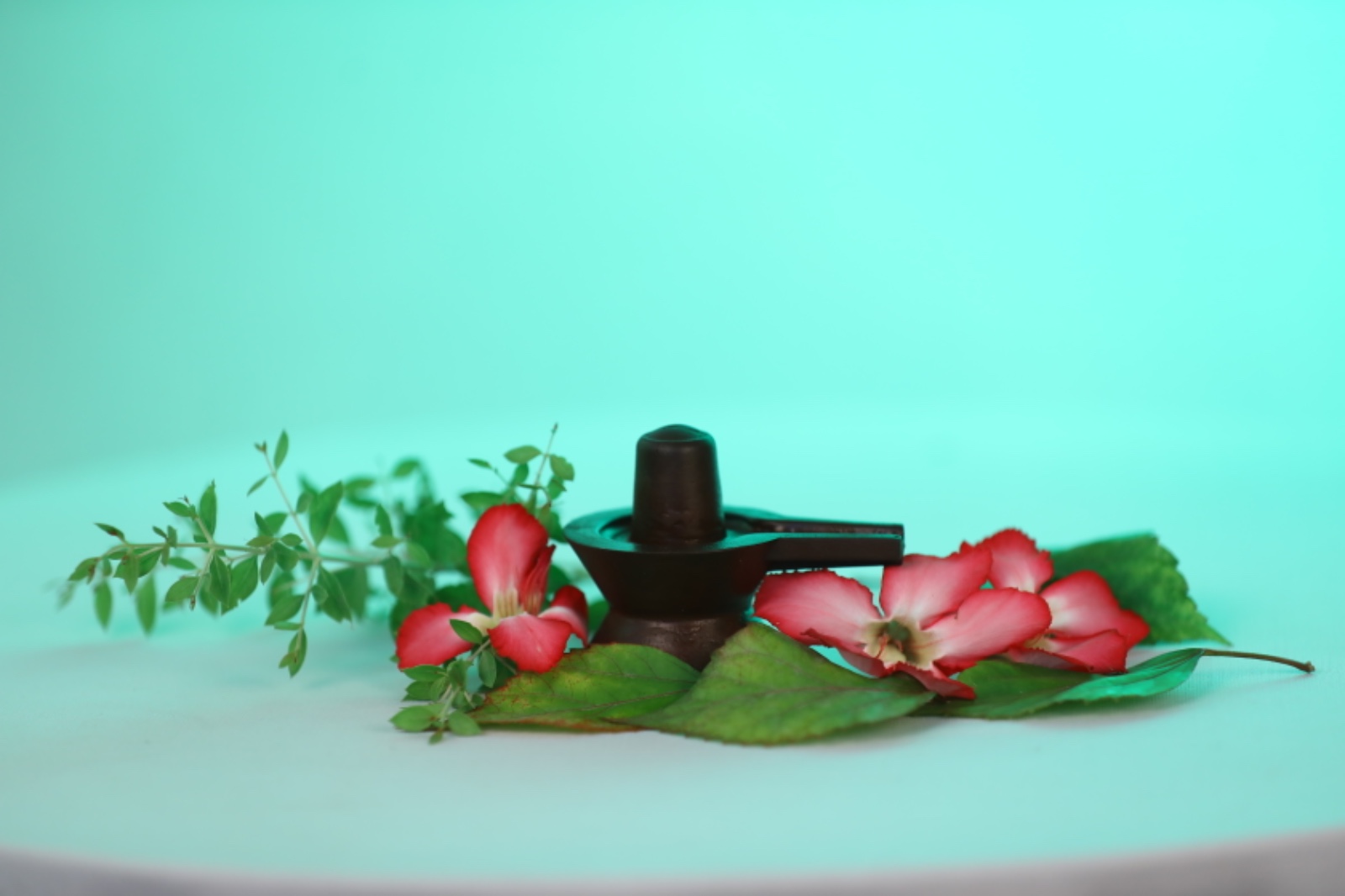 Embracing Serenity with Navapashanam Shivlingam: A Journey of Spiritual Transformation
