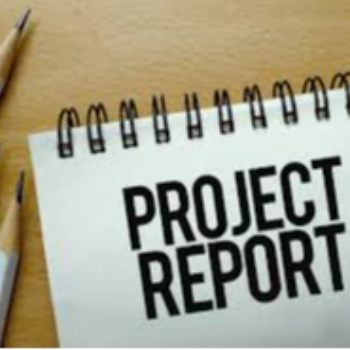 Unlocking Success: How Radhika Transformed Her Business with a Detailed Project Report