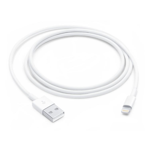 THE AMISTAD VENTURE - Powering Up Efficiency: How an Apple USB Type-C Cable Solved Priya's Charging Woes in Bengaluru
