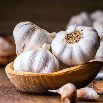 The Secret Ingredient: How Premium Garlic Transformed Meera's Culinary Journey