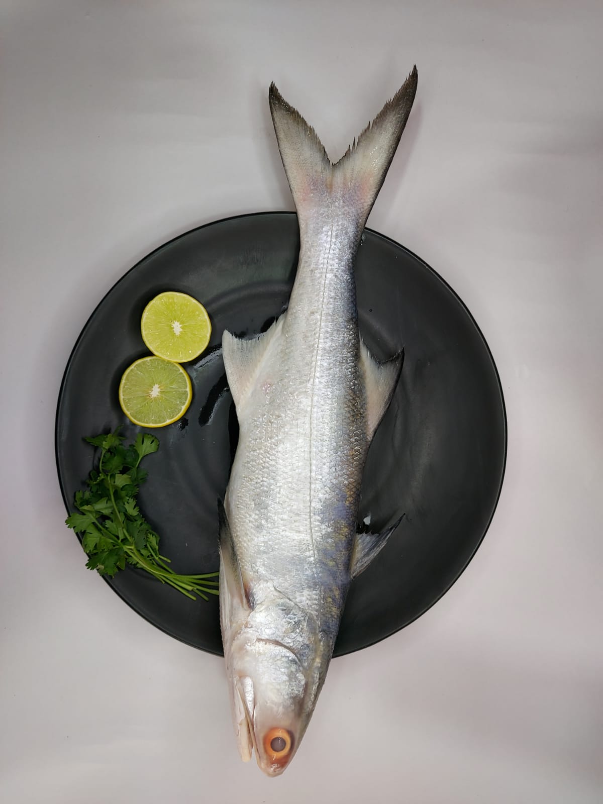 Dive into the Benefits of Fresh Ravas Fish and How to Get Started