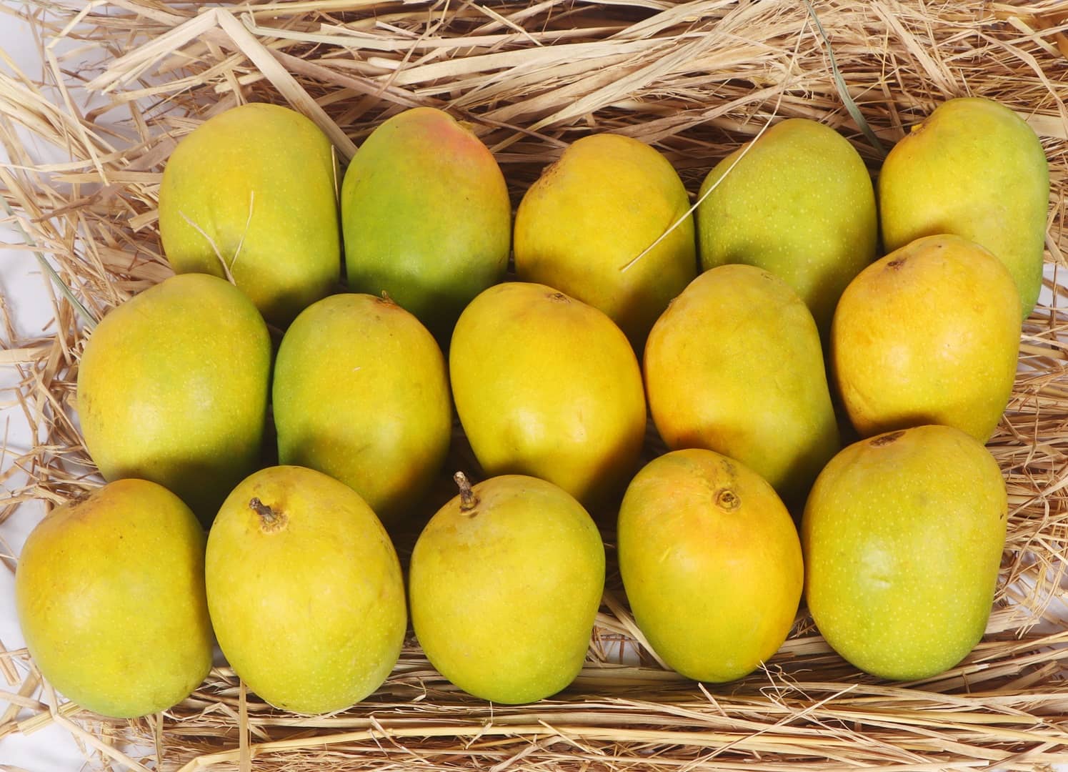 The Sweet Solution to Rina's Mango Cravings: Discover Alphonso Mangoes