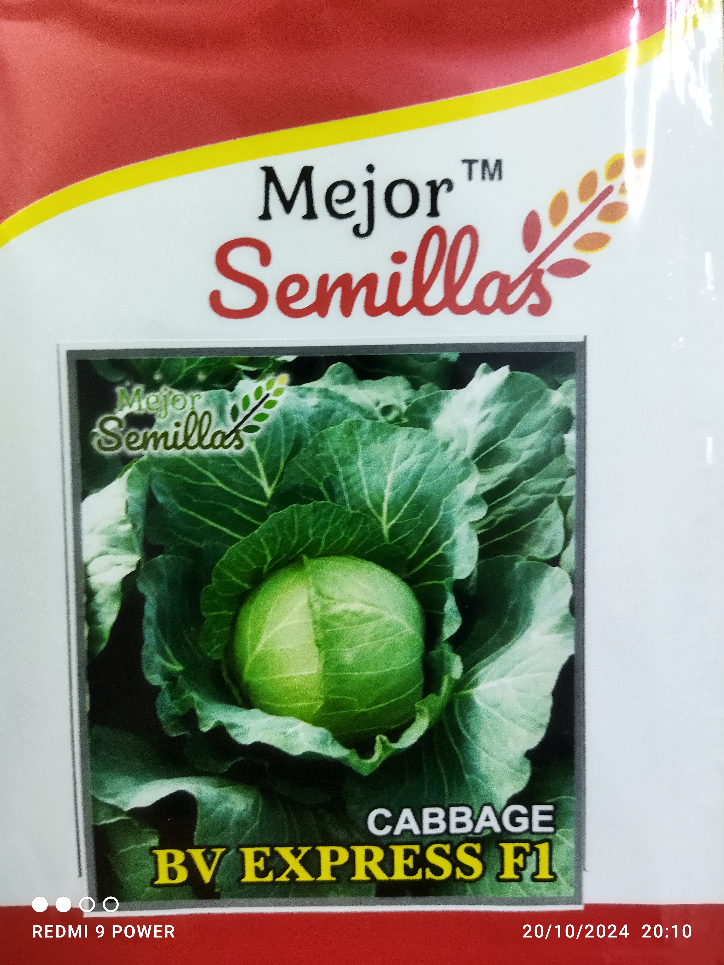 Growing Success: How Cabbage BV Express F1 Transforms Indian Farming
