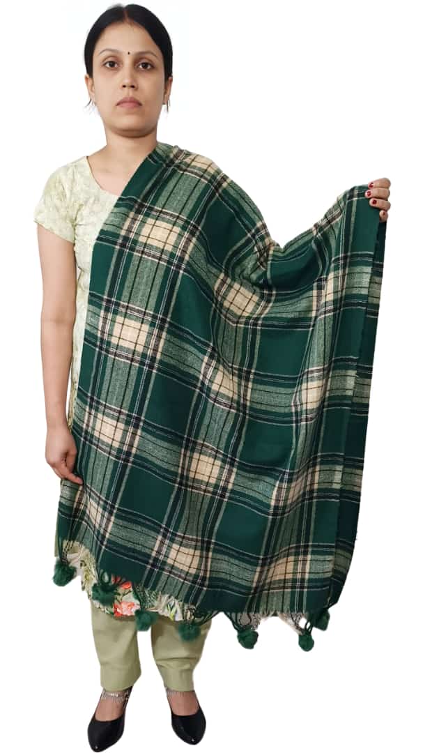 Beswadeshi - Embracing Tradition with Comfort: The Perfect Shawl for Every Indian Woman in NEW DELHI