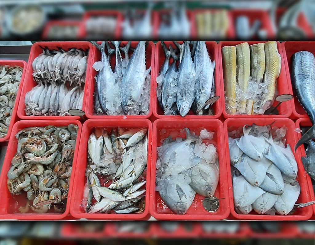 Reeling in Freshness: How Home Delivery of Fish is Transforming Lives in India