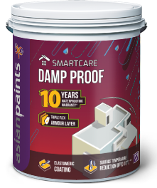 Transform Your Home with Asian Paint Damp Proof Primer: Meet Radhika's Solution to Damp Woes