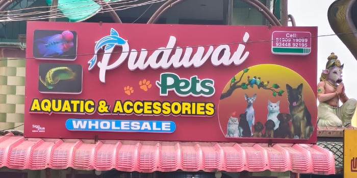 PUDUVAI PETS AQUATIC - PUDUVAI PETS AQUATIC in Ariankuppam