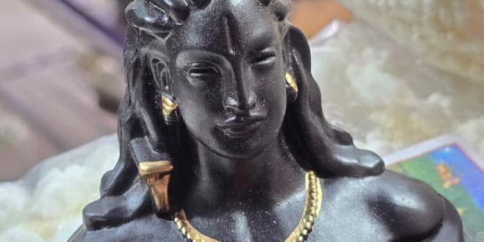 ROHIT SHYAM GANGAPUTRA - ROHIT SHYAM GANGAPUTRA in TRIMBAKESHWAR