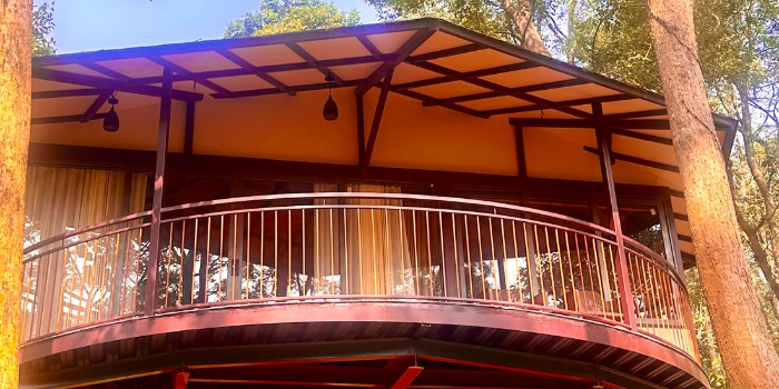PUGMARKS JUNGLE LODGE - PUGMARKS JUNGLE LODGE in WAYANAD