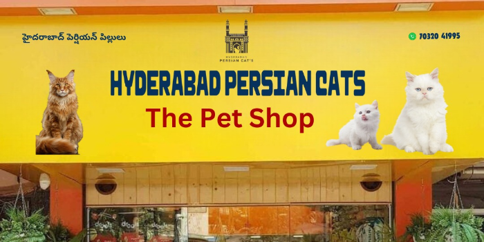 PETS SALE AND CARE - PETS SALE AND CARE in Hyderabad