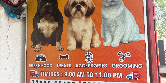 WOW PETS - WOW PETS in CHENNAI
