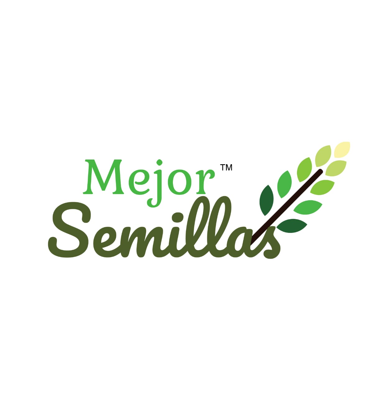 MEJOR SEMILLAS PVT LTD - MEJOR SEMILLAS PVT LTD in DHUPGURI