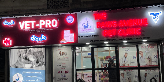 The Paws Avenue - Pet Care Clinic ( New Address ) - The Paws Avenue - Pet Care Clinic ( New Address ) in Kolkata