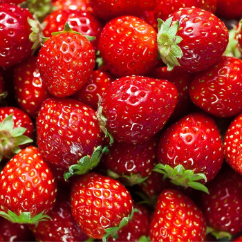 HALARI FRUIT CENTRE - Gallery in Rajkot