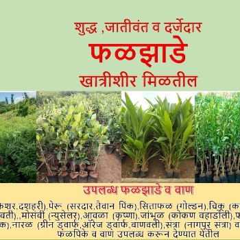 VIDHARBHAFARMS AGRO PRODUCER COMPANY LTD - Gallery in Umarkhed