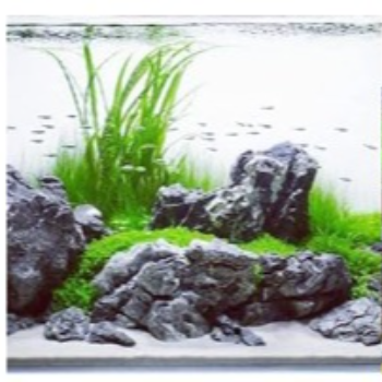 KTS AQUARIUM AND EXOTIC PETS - Gallery in Salem