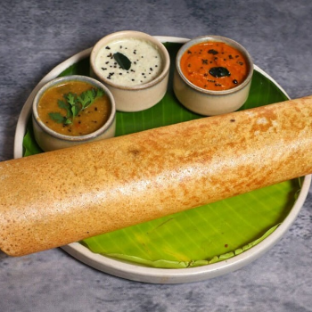ELE JUNGLE RESTAURANT - Gallery in Jaipur