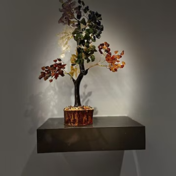 M SYED AFRID - Gallery in Mysore