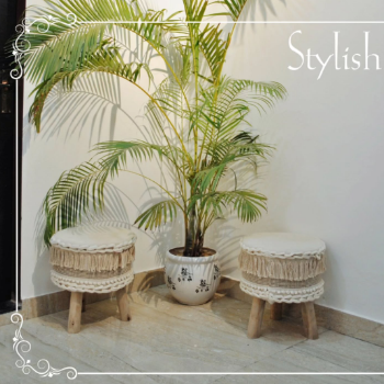 DREAM STAYS - Gallery in Jaipur