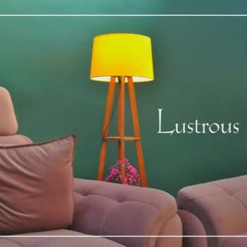 DREAM STAYS - Gallery in Jaipur