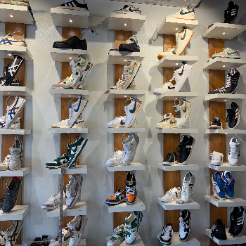 SNEAKER HUB - Gallery in Bathinda
