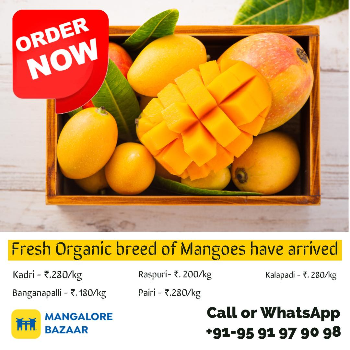 - Gallery in MANGALORE
