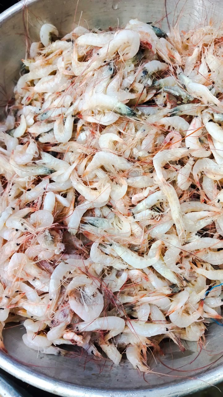 B D TARU FISH SUPPLIERS - Gallery