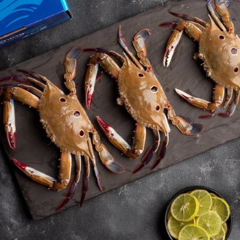 BJS FISH COMPNY - Gallery in Hyderabad