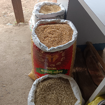 SAMARTH TRADERS - Gallery in Ahmednagar