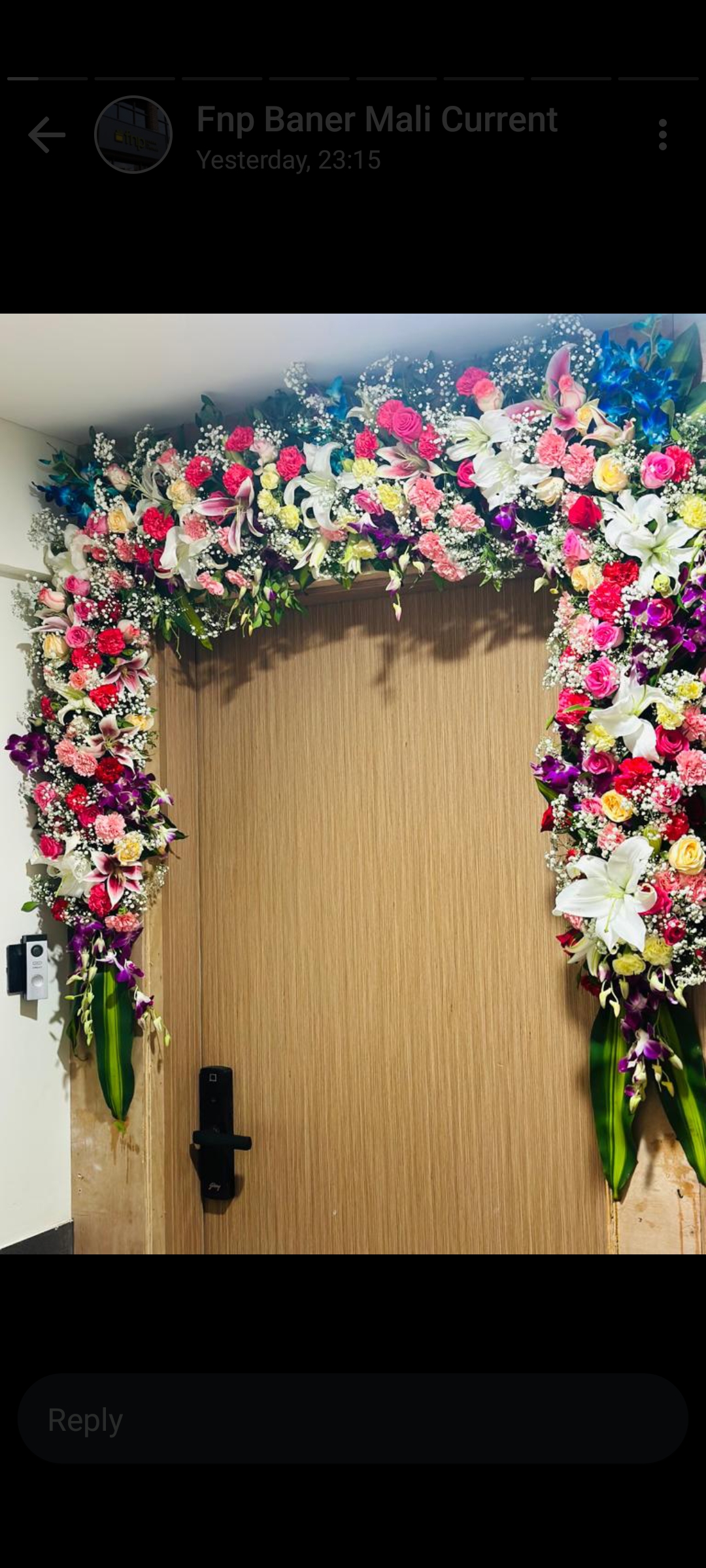 Zinnia Zahara - Gallery in Pune