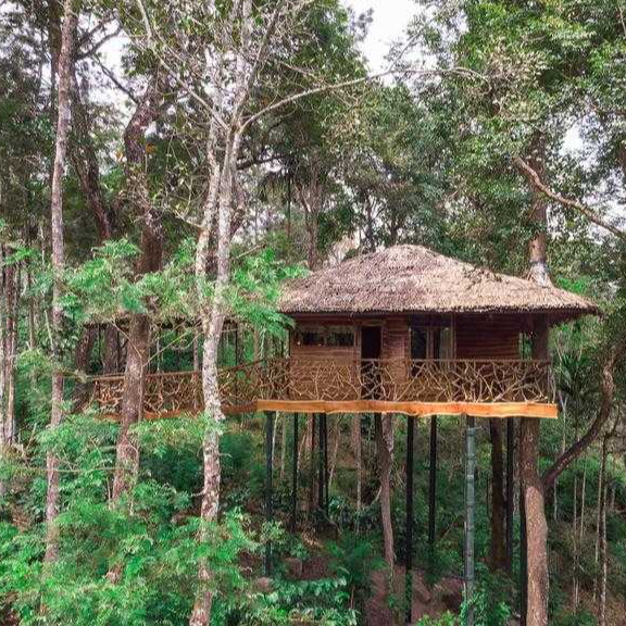 PUGMARKS JUNGLE LODGE - Gallery in WAYANAD