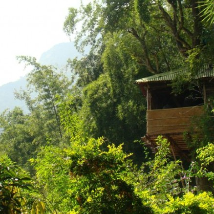PUGMARKS JUNGLE LODGE - Gallery in WAYANAD