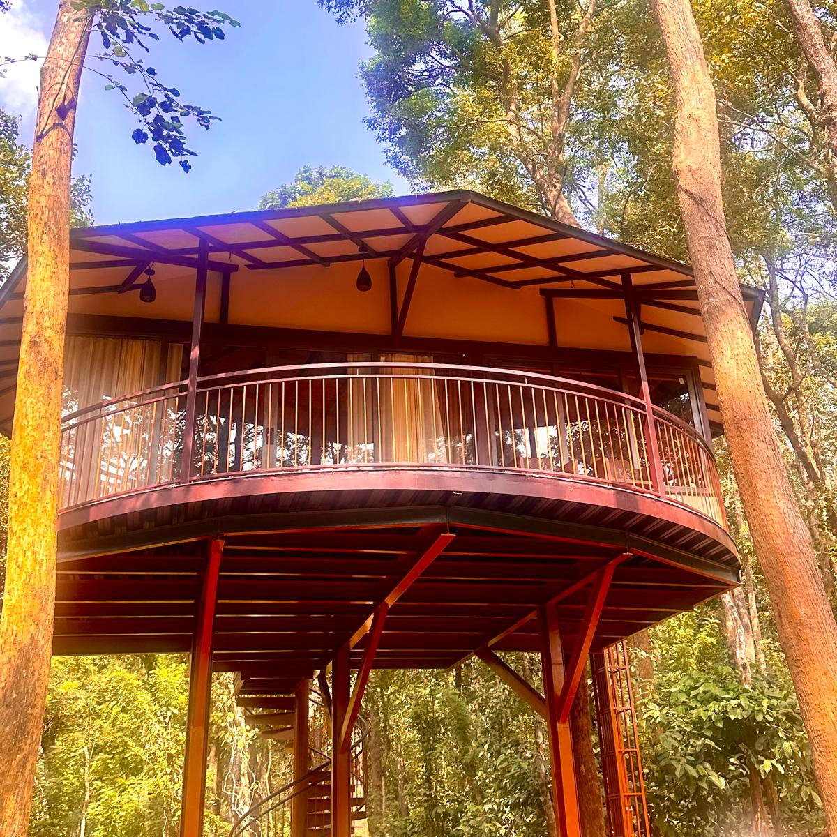 PUGMARKS JUNGLE LODGE - Gallery in WAYANAD