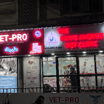 The Paws Avenue - Pet Care Clinic ( New Address ) - Gallery in Kolkata