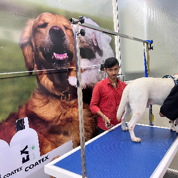 The Paws Avenue - Pet Care Clinic ( New Address ) - Gallery in Kolkata