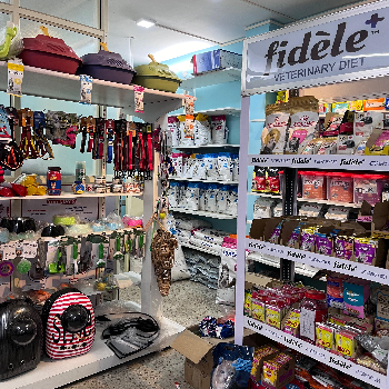 The Paws Avenue - Pet Care Clinic ( New Address ) - Gallery in Kolkata