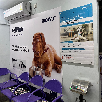 The Paws Avenue - Pet Care Clinic ( New Address ) - Gallery in Kolkata