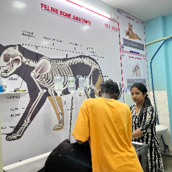The Paws Avenue - Pet Care Clinic ( New Address ) - Gallery in Kolkata