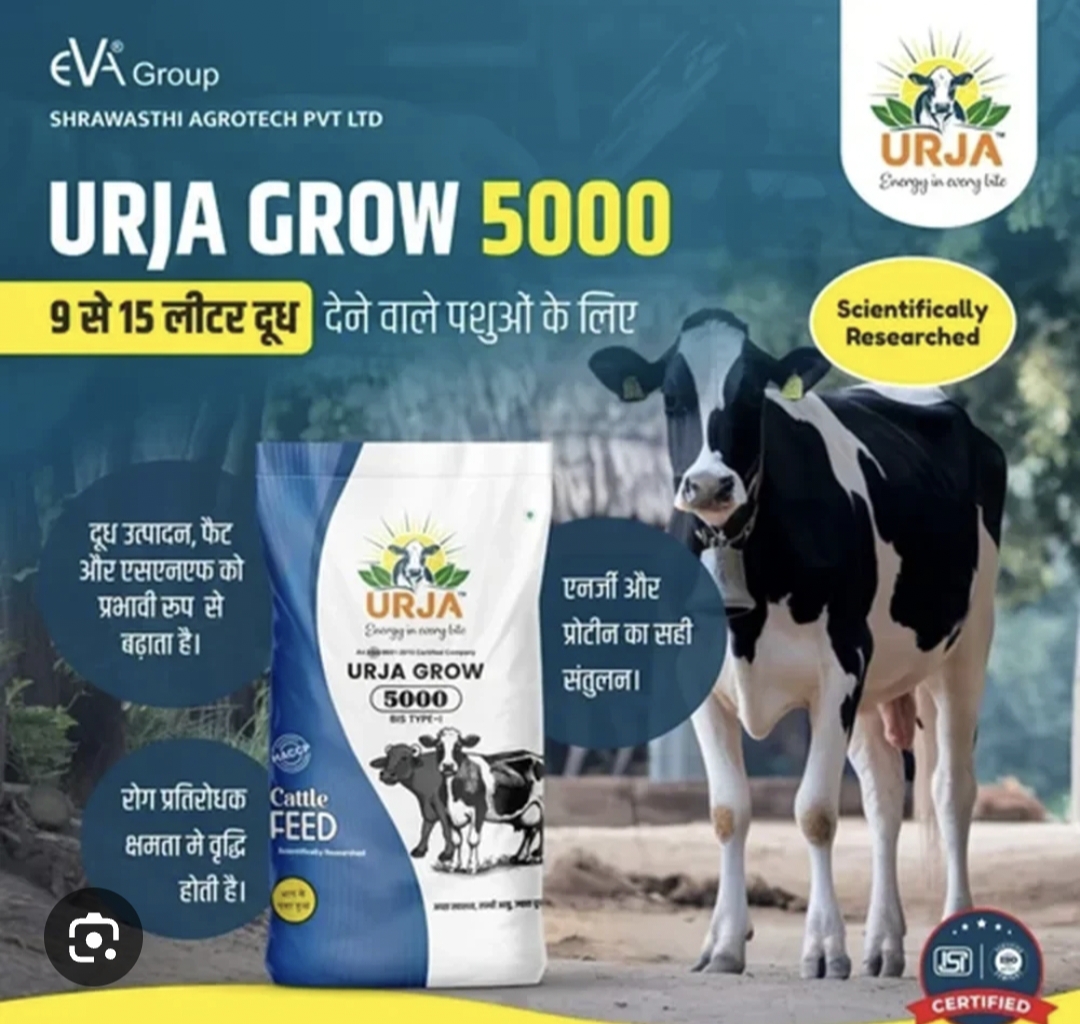 10 Bag offers Urja 5000